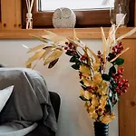 Tatry Folk Regionalny Grota Solna زاكوباني